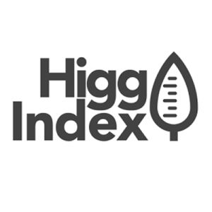 Higg index